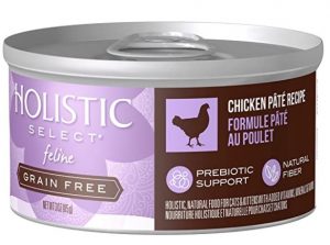 Holistic select pate grain-free canned cat food