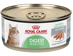 Royal canin feline health nutrition digest sensitive loaf in sauce canned cat food